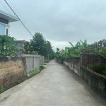 Ảnh 2 của F0 Chính Mỹ ngõ ô tô quay đầu với giá mềm như bún.