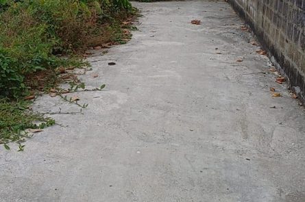Bán lô đất đường đá Hoa Động.