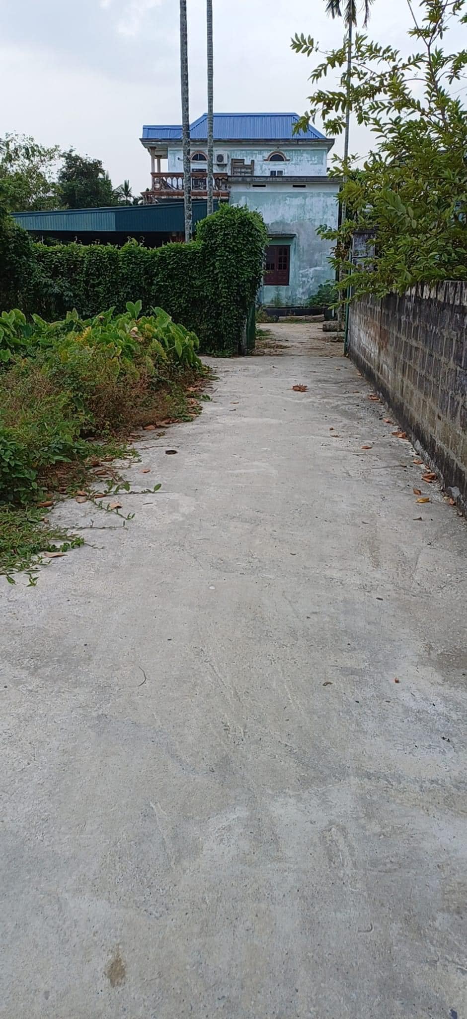 Bán lô đất đường đá Hoa Động.