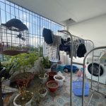 Ảnh 10 của Bán nhà độc lập 3 tầng 60m2 tại Vĩnh Khê, An Đồng, An Dương, khu dân cư đông gần hoàng huy An Đồng