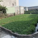 Ảnh 1 của Bán lô đất góc 2 mặt ngõ, oto chạy vòng quanh.