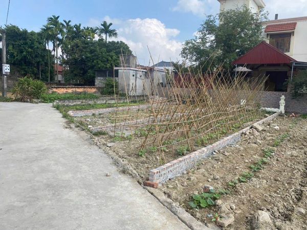 1 lô F0 duy nhất chỉ hơn 300tr